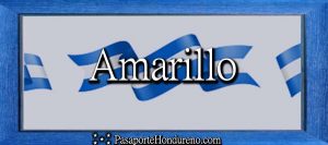 Cita Pasaporte Hondureño Amarillo Texas