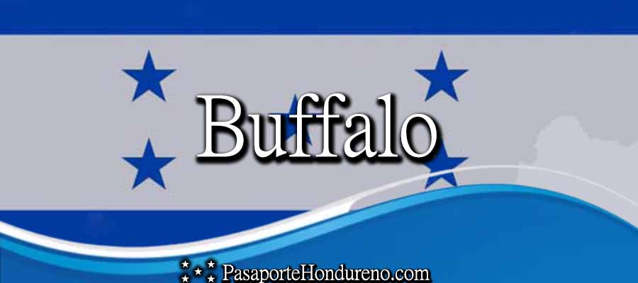 Cita Pasaporte Hondureño Buffalo Kansas