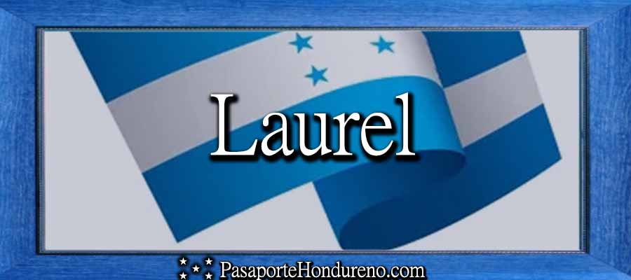 Cita Pasaporte Hondureño Laurel Illinois