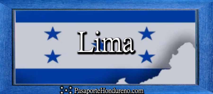 Cita Pasaporte Hondureño Lima Washington