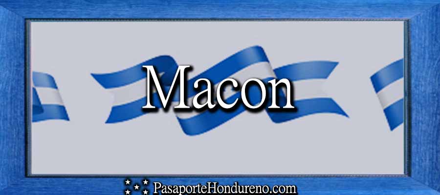 Cita Pasaporte Hondureño Macon Michigan