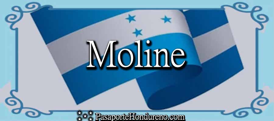 Cita Pasaporte Hondureño Moline Iowa