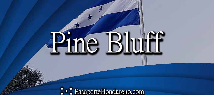 Cita Pasaporte Hondureño Pine Bluff Pennsylvania