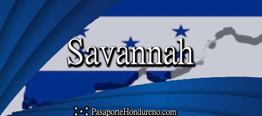 Cita Pasaporte Hondureño Savannah Georgia